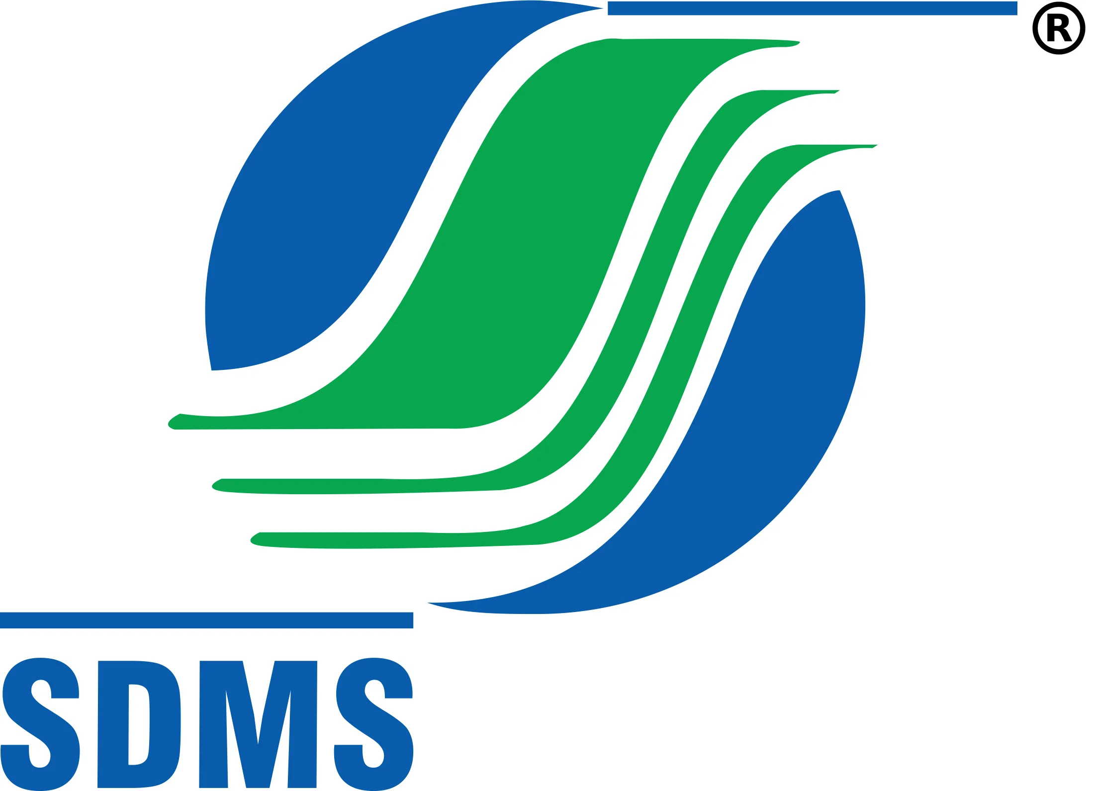 Stockholding DMS Logo
